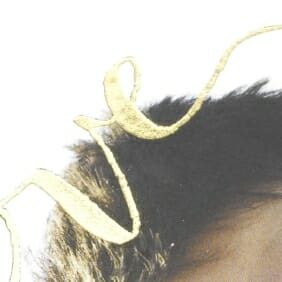 YU_YUP53850FCzm_A1