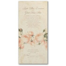 Warm_Roses_3159_VZ54596ECzm_A1