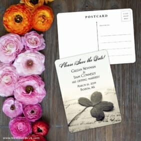 Lucky Clover Save The Date Postcard With Back