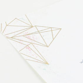 Darling Geometric